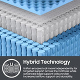 14 inch Medium Firm Mattress Queen, Hybrid Mattress with Back and Lumbar Hip Support