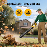 VASG Leaf Blower Cordless – Lightweight Handheld Electric Leaf Blower with Variable Speed, 21V 3×2.0Ah Batteries & Fast Charger for Effortless Lawn
