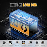 Rvpozwer 12V 100Ah LiFePO4 Lithium Battery 2 Pack Group 31 with 100A BMS