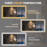 LOAAO 72"X36" LED Bathroom Mirror Black Framed