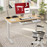 Electric Height Adjustable Home Office Desk with Storage & USB Ports
