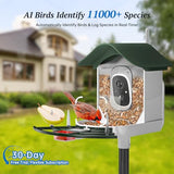 DOCOON Smart Bird Feeder with Camera, 2K HD AI Identify Birds Species, Bi rd Watching Camera with Solar Panel, Instant Notifications, Ideal Present for Bird Lover, Dark Green