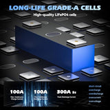 Compact 24V 100Ah Lithium Battery, 24V 100Ah LiFePO4 Battery 5000+ Cycles