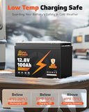 12V 100Ah LiFePO4 Battery, BCI Group 31 Deep Cycle Battery, 2 Pack