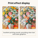 High Yield Toner Cartridge 4-Pack Compatible Replacement for C1760nw C1765nf C1765nfw 1250 1250c 1350cnw 1355cn 1355cnw Printer