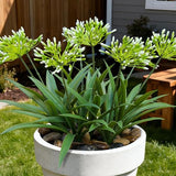 HIFORESTAR 8 Bundles Artificial Flowers Plants for Outdoor Planters | 18.9 in Green Large Fake Flowers | Spring Summer Look Real Plasic Faux Plant for Front Porch Pathway Garden Patio (Green)