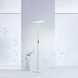 Modern Floor Lamp, Natural 10 AM Daylight Full Spectrum Standing Light for Bedroom Living Room Office, Double-Sided Illumination, Dual-Light Design, 7200LM, 4000K, White Floor Lamp, 36000+H Lifetime