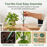 Plant Stakes for Indoor Plants Adjustable to 25" with Trellis & Clips