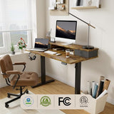 Agilestic 55 x 24 Inches Height Adjustable Electric Standing Desk with 2 Drawers