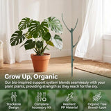 Plant Stakes for Indoor Plants Adjustable to 25" with Trellis & Clips