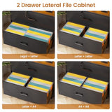 SEDETA 59" File Cabinet, 2 Drawers Filing Cabinets for Home Office fit Legal/Letter/A4 File