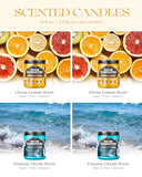 AOOVOO 4 Pack Citrus Lemon/Fantasy Ocean Odor Eliminating Highly Fragranced Candle - Eliminates 95% of Pet, Smoke, Food, and Other Smells Quickly, Non Toxic Air Freshing Soy Candle