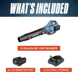 60V Cordless Leaf Blower, 810 CFM & 170 MPH for Powerful Yard Cleaning, Includes 4.0Ah Battery & Charger, Features Brushless Motor, Variable Speed and Cruise Control, Ideal for Lawns and Leaf Blowing