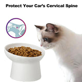 KITCHENLESTAR Elevated Cat Bowls, 15° Tilted Ceramic Raised Cat Food and Water Bowl Set, Whisker-Friendly Porcelain Pet Feeder Dishes for Indoor Cats and Small Dogs,White,6.2 Inch,2 Pack