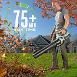 EGO POWER+ Combo, Cordless Trimmer and Blower, 15" Trimmer for Weeds and Grass with Rapid Reload and Cordless Electric 530 CFM Blower