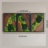 Moss Wall Decor Preserved Moss Art in Solid Cedar Wood Frame | Natural Wooden Wall Decor for Living Room, Office, Home | Zero Maintenance Gift for Nature Lovers 3 Pieces