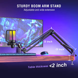 Gaming PC USB Microphone, Podcast Condenser Mic with Boom Arm, Pop Filter, Mute Button for Streaming, Twitch, Online Chat, RGB Computer Mic for PC Gamer Youtuber-AmpliGame A6T FIFINE