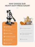 QCen Professional Cast Iron Manual Juicer, Heavy Duty Citrus Press with Stainless Steel Strainer, Easy-to-Clean Hand Squeezer for Orange, Lemon, Lime and Grapefruit - Black (Black)