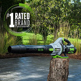 EGO Power+ LB7654 765 CFM Variable-Speed 56-Volt Lithium-ion Cordless Leaf Blower with Shoulder Strap