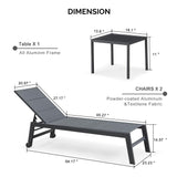 PURPLE LEAF Outdoor Chaise Lounge Set of 2 with Sponge, Easy Move, Grey
