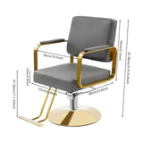 ZAWAYINE Barber Salon Chair, Hair Salon Chair for Hair Stylist for Barbershop Home Height Adjustable & 360° Swivel Styling Barber Chairs Spa Beauty Equipment, Max Load Weight 440Lbs (Grey+Gold)