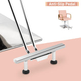 Winado Salon Chair Styling Barber Chair, Beauty Salon Spa Equipment with Heavy Duty Hydraulic Pump, Adjustable Height & 360° Swivel for Barber Shop Hair Stylist, Max Load 330 lbs(Pink)