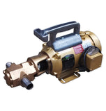 Goldstream Pumps WVO Designs Portable Oil Pump W2065, 12GPM, Baldor