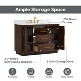 DELUXE LIVING 48 Inch Bathroom Vanity with Sink, Fully-Assembled, Warm Elm