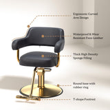 OmySalon Barber Chairs for Barbershop Black and Gold Styling Chair, Salon Chair for Hair Stylist Heavy Duty Hydraulic Pump, 360°Swivel with Footrest, Hairdressing Home Beauty Spa Braiding Equipment