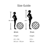 BABYGO Birthing Ball - Pregnancy Yoga Labor & Exercise Ball & Book Set Trimester Targeting, Maternity Physio, Birth & Recovery Plan Included Anti Burst Eco Friendly (Mist, 65cm)