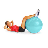 CAP Barbell Fitness Stability Ball Exercise Ball, 65cm, Teal CAP Barbell