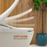 Bidet for Toilet, Adjustable Warm Seat, Air Dryer, Warm Water & Pressure Barumi