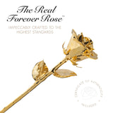Forever Rose Personalized Combo, 24K Gold Dipped Roses & Heart Acrylic Vase