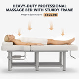 Artist hand Heavy Duty Professional Stationary Massage Table, Wide Spa Facial Bed with Backrest, Metal Frame PU Leather Massage Bed for Physical Therapy Treatment Tattoo Salon (Gray)