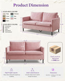 TYBOATLE 51'' Pink Small Couch Loveseat, 2-Seater Upholstered Sofa