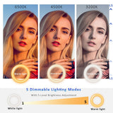 Cyezcor Video Conference Lighting Kit， Ring Light for Computer
