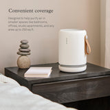 Molekule Air Purifier Mini+ - Purifies Rooms Up to 250 Sq Ft - Smart Purifier with High Pollutant Capture Rate - Air Quality Monitoring Capabilities - White