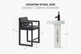 PURPLE LEAF Outdoor Counter Stool Set of 2 Modern Aluminum Stool, Dark Grey