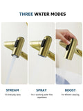 Lefton Rotatable Bathroom Faucet with Temperature Display in Fahrenheit (Batteries-Free), 3 Water Outlet Modes, Polished Gold, BF2204-5