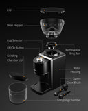 KIDISLE Conical Burr Coffee Grinder, Electric Coffee Bean Grinder for Precise Grinding, 35 Settings, 2–12 Cup Selector, Anti-Static Design for Home Use, Black