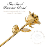 Forever Rose Set of 2 Roses Dipped in 24K Gold with “I Love You” Heart Vase