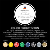 THERABAND Professional Latex Resistance Bands, Individual 6 Ft Elastic Band for Upper & Lower Body Exercise, Physical Therapy, Pilates, Home Workouts, 6 Foot, Blue, Extra Heavy, Level 5 THERABAND