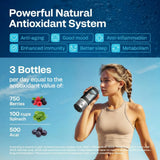 Energilz Hydrogen Water Bottle | Large 16.2 oz (480 ml) Hydrogen Water Bottle Generator 3000ppb | Hydrogenator Machine | SPE/PEM Hydrogenated Ionizer Generator (Steel w/Black)