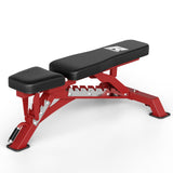 RitFit Adjustable/Foldable Utility Weight Bench for Home Gym, Weightlifting and Strength Training - Bonus Workout Poster with 35 Total Body Exercises