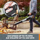 WORX 20V GT Revolution 12" 4.0Ah Cordless String Trimmer & Turbine Leaf Blower Power Share Combo Kit - WG930.3