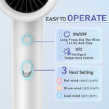 Hotel Wall Mount Hair Dryer for Bathroom with Night Light, 110V, Quiet, Overheat Protection, Negative Ion Technology