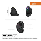 J-Tech Digital Ergonomic Mouse with Wireless Connection, Removable Palm Rest, Thumb Buttons
