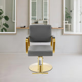 ZAWAYINE Barber Salon Chair, Hair Salon Chair for Hair Stylist for Barbershop Home Height Adjustable & 360° Swivel Styling Barber Chairs Spa Beauty Equipment, Max Load Weight 440Lbs (Grey+Gold)