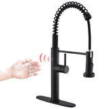 Fapully Black Kitchen Faucet with Pull Down Sprayer,Touchless Motion Sensor Single Handle Faucet for Kitchen Sink