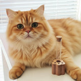 DegoCyhton Cat Whisker Holder, Wooden Clear Glass Jar, Sealed Cork Memorial Vase, Premium Cat Fur Keepsake, Desktop Display Decor Accent, Home Decor for Feline Owners, Thoughtful Pet Lover Gift